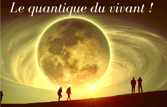 Qu'est-ce que le "quantique du vivant"?